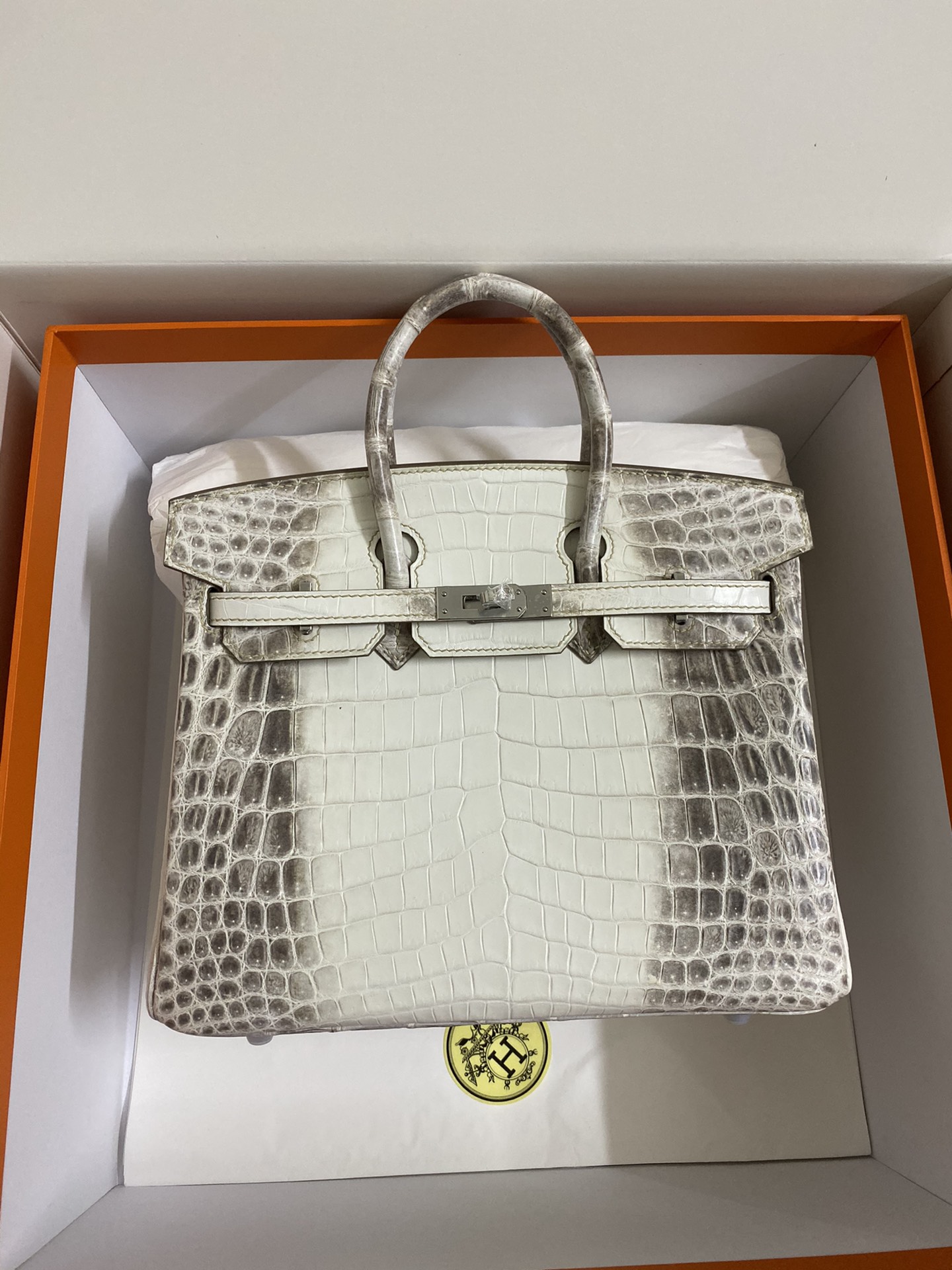 Hermes Himalayan Birkin 25CM Niloticus Crocodile Skin